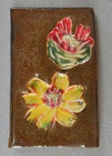 Chocolate Flower (Berlandiera lyrata)