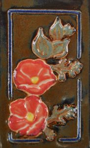 Globe Mallow (Sphaeralcea sp.)