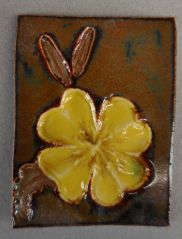 Spring Yellow Primrose (Oenothera primiveris)